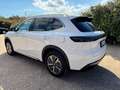 Geely Starray EM-i Starray EM-i 1.5 phev Pro auto Weiß - thumbnail 3