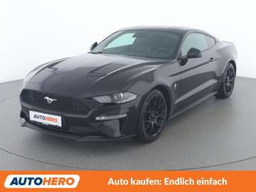 2.3 EcoBoost Basis