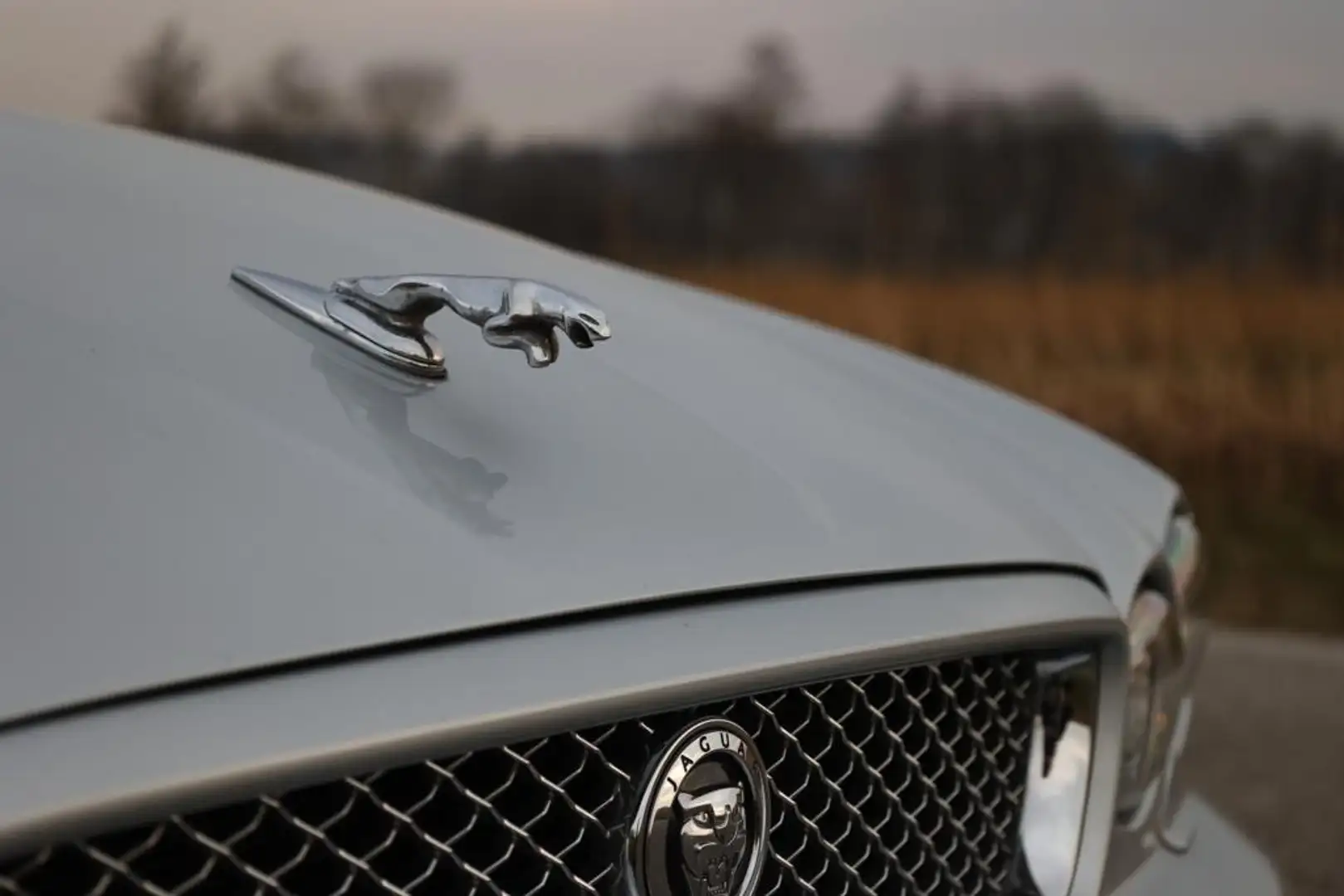 Jaguar X-Type Aut. Executive Plateado - 2