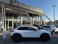 Mazda CX-30 CX-30 2.0 m-hybrid Exceed 2wd 150cv 6at Blanc - thumbnail 3