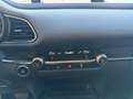 Mazda CX-30 CX-30 2.0 m-hybrid Exceed 2wd 150cv 6at Blanc - thumbnail 17