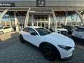 Mazda CX-30 CX-30 2.0 m-hybrid Exceed 2wd 150cv 6at Blanc - thumbnail 1