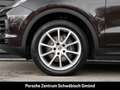 Porsche Cayenne Coupe LED-Matrix Soft-Close nur27.500 km Braun - thumbnail 14