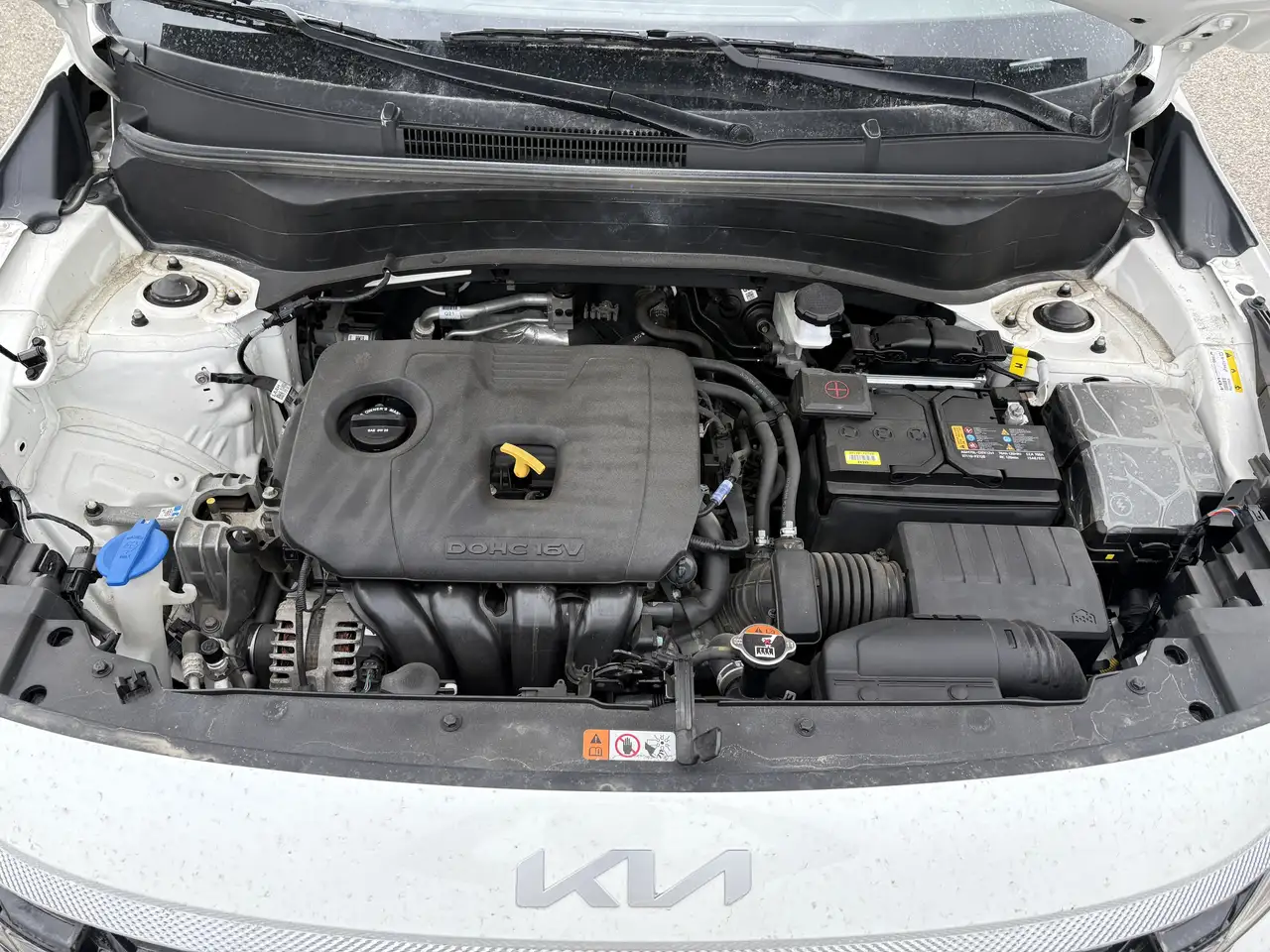 Kia Seltos fotografie Kia Seltos