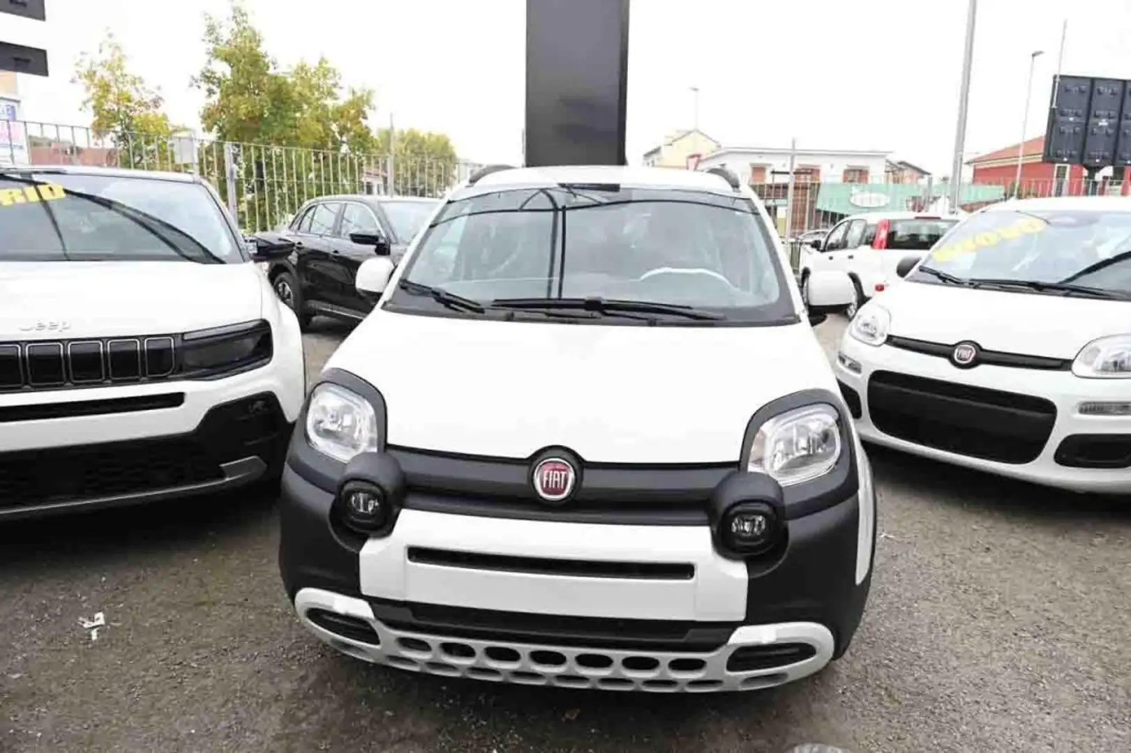 Fiat Panda 1.0 FireFly S&S Hybrid Pandina Weiß - 2