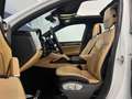 Porsche Cayenne Diesel Aut. Blanc - thumbnail 7
