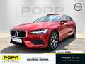 Volvo V60 T6 AWD Hybrid Momentum Pro ACC AHK CAM PANO Rood - thumbnail 1