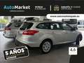 Ford Focus 1.5 tdci 95cv - thumbnail 5