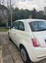 Fiat 500 1.3 mjt 16v Lounge 75cv - thumbnail 7