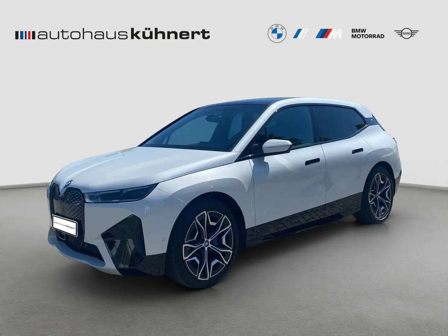 BMW iX xDrive 40 Sportpaket Laser ACC PanoSD SkyLounge Blanco - 1