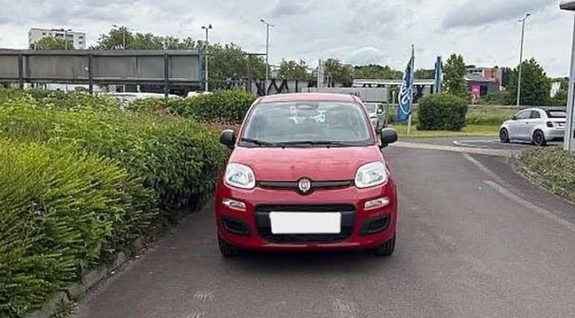 Fiat Panda 1.0 FireFly S&S Hybrid Rosso - 2