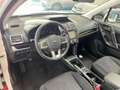 Subaru Forester Exclusive 4x4 PANO SHZ TEMP Blanc - thumbnail 10