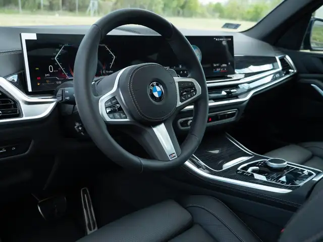 BMW X5 X5 view 12