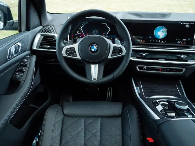BMW X5 X5 view 13
