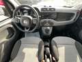 Fiat Panda Lounge Klima PDC EURO6 Zahnriemen Neu 1,2M Rot - thumbnail 12