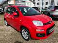 Fiat Panda Lounge Klima PDC EURO6 Zahnriemen Neu 1,2M Rot - thumbnail 2