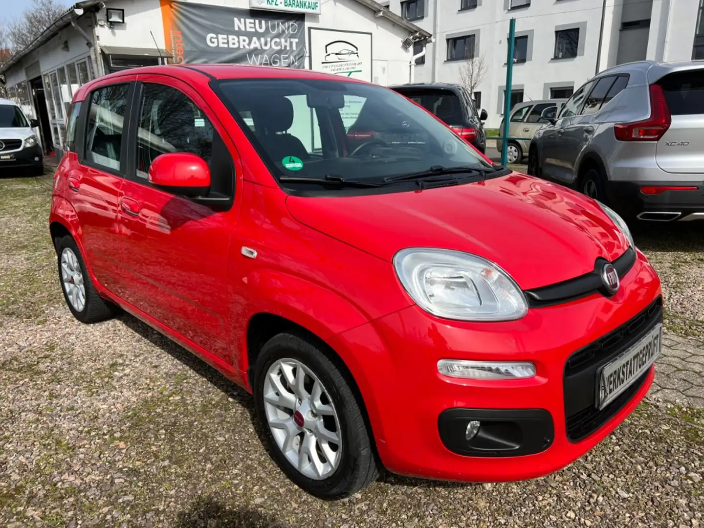 Fiat Panda Lounge Klima PDC EURO6 Zahnriemen Neu 1,2M Rot - 2