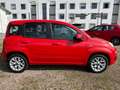 Fiat Panda Lounge Klima PDC EURO6 Zahnriemen Neu 1,2M Rot - thumbnail 3