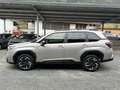 Subaru Forester 2,0i e-Boxer Style Xtra  Aut. inkl. Winterräder Beige - thumbnail 8