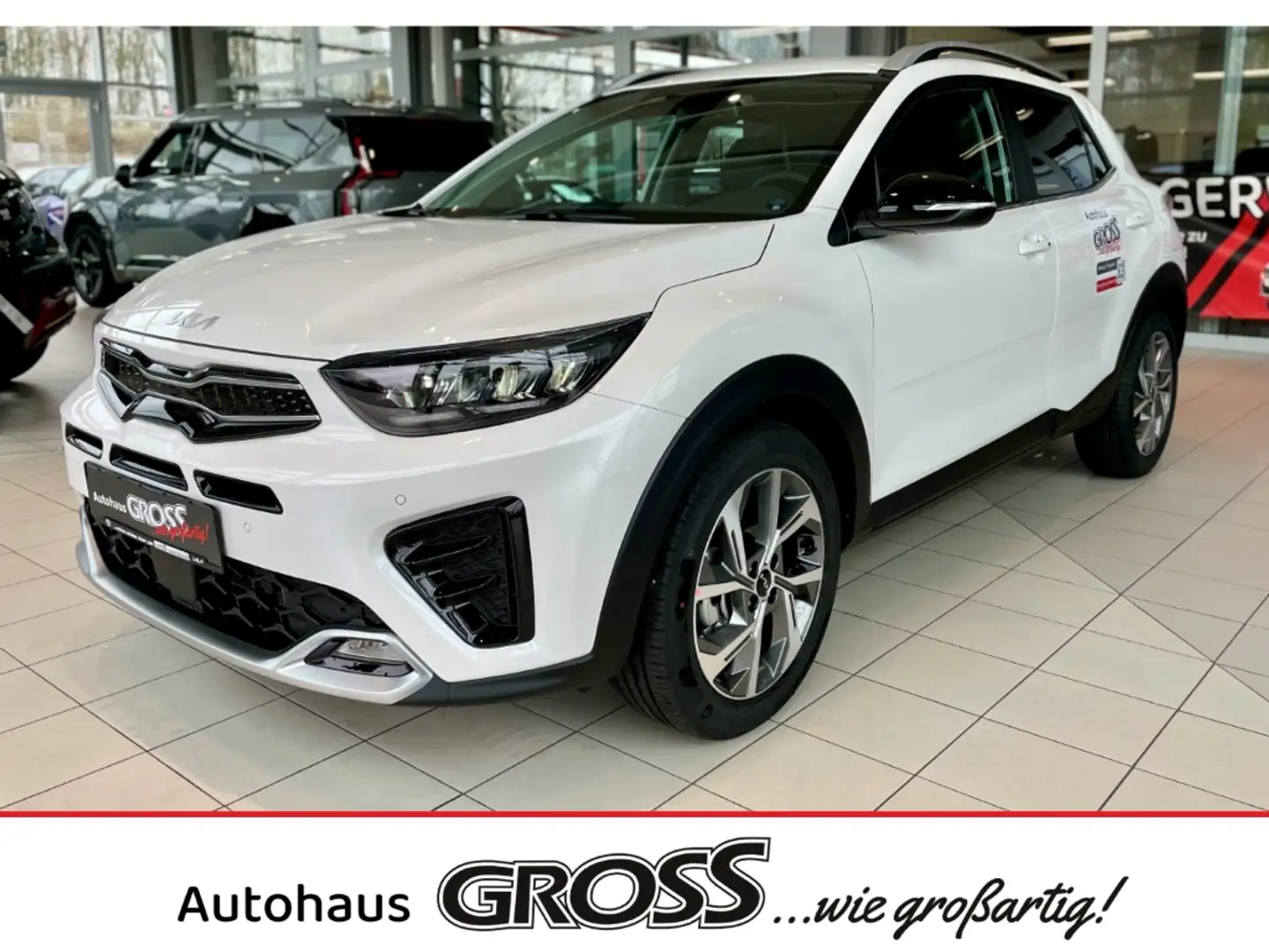 Kia Stonic GT-Line 1.0 T-GDI Sportpaket Navi LED Apple CarPla Weiß - 1
