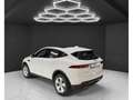 Jaguar E-Pace P250 AWD S Blanc - thumbnail 3