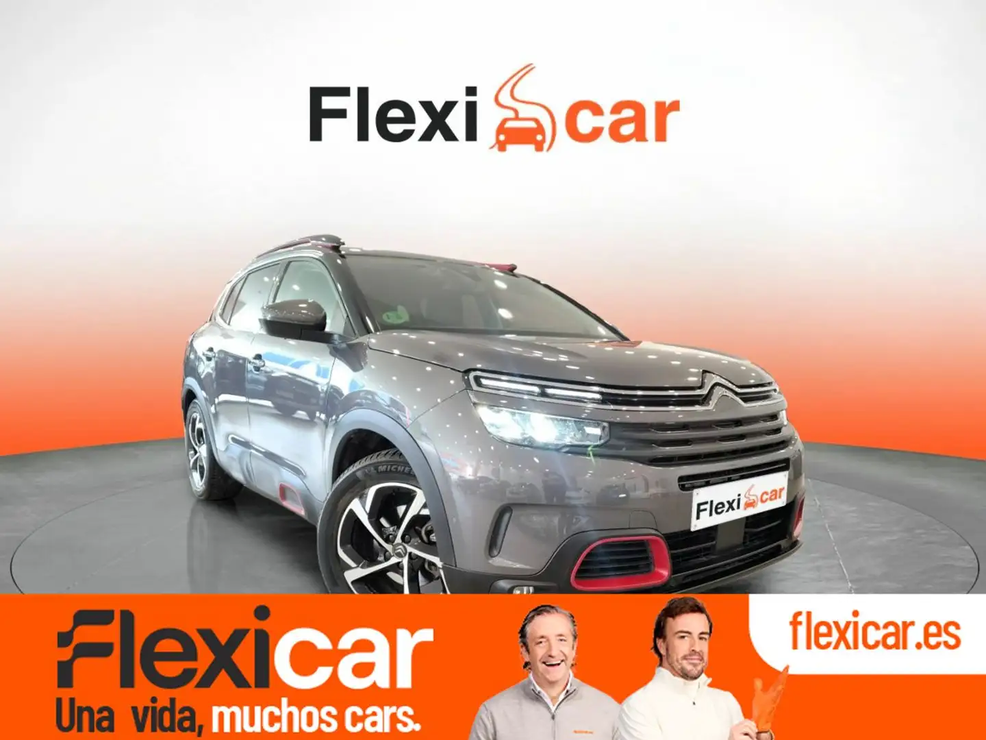 Citroen C5 Aircross BlueHDi S&S C-Series EAT8 130 Gris - 1
