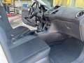 Ford Fiesta 1.5 TDCi 75CV 5 porte Titanium Bianco - thumbnail 11