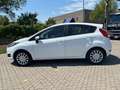 Ford Fiesta 1.5 TDCi 75CV 5 porte Titanium Bianco - thumbnail 5