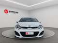 Kia Rio 1.2 CVVT 5p. Active Bianco - thumbnail 5