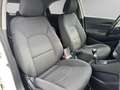 Kia Rio 1.2 CVVT 5p. Active Bianco - thumbnail 15