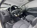 Kia Rio 1.2 CVVT 5p. Active Bianco - thumbnail 8