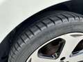 Kia Rio 1.2 CVVT 5p. Active Bianco - thumbnail 7