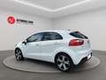 Kia Rio 1.2 CVVT 5p. Active Bianco - thumbnail 3