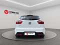 Kia Rio 1.2 CVVT 5p. Active Bianco - thumbnail 6