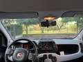 Fiat New Panda 1.0 FireFly Hybrid City Cross CAR PLAY VIVA VOCE Alb - thumbnail 12