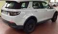 Land Rover Discovery Sport Discovery Sport 2.0d i4 mhev awd 150cv au- GC023YJ Blanc - thumbnail 5