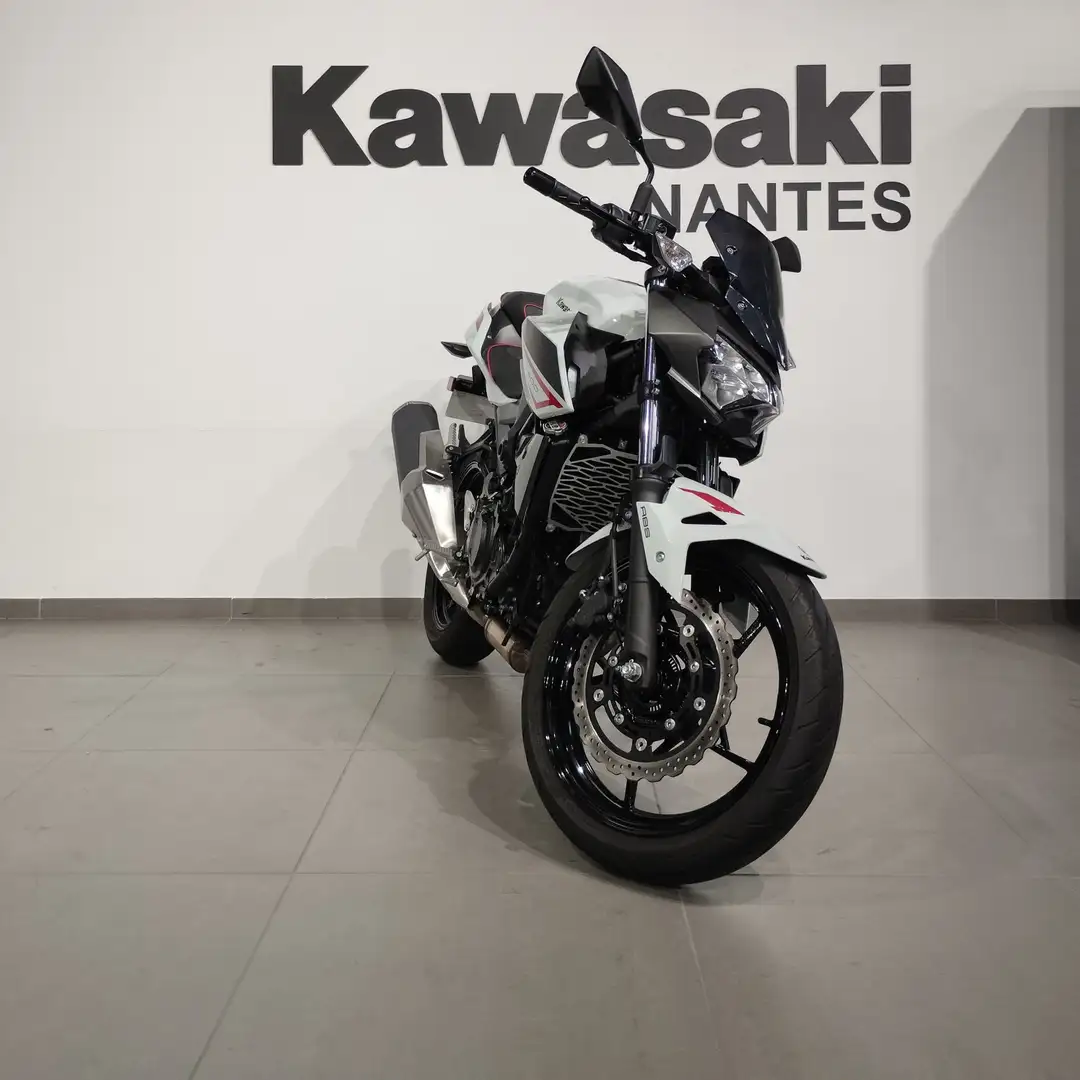 Kawasaki Z 400 - 1