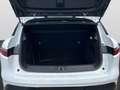 Renault Megane E-Tech Techno EV40 130hp boost charge Weiß - thumbnail 8