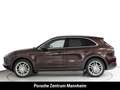 Porsche Cayenne Matrix Anhängevorrichtung SurroundView 14-Wege Braun - thumbnail 2
