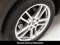 Porsche Cayenne Matrix Anhängevorrichtung SurroundView 14-Wege Braun - thumbnail 30