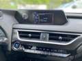 Lexus UX 250h 2.0 Hybrid Style Edition LED KAMERA Grau - thumbnail 12