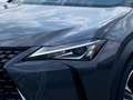 Lexus UX 250h 2.0 Hybrid Style Edition LED KAMERA Grau - thumbnail 14