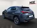 Lexus UX 250h 2.0 Hybrid Style Edition LED KAMERA Grau - thumbnail 2