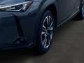 Lexus UX 250h 2.0 Hybrid Style Edition LED KAMERA Grau - thumbnail 13