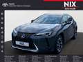 Lexus UX 250h 2.0 Hybrid Style Edition LED KAMERA Grau - thumbnail 1