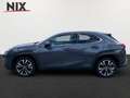 Lexus UX 250h 2.0 Hybrid Style Edition LED KAMERA Grau - thumbnail 3