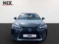 Lexus UX 250h 2.0 Hybrid Style Edition LED KAMERA Grau - thumbnail 5