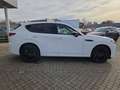 Mazda CX-60 2.5L PHEV 327ps Homura Plus, Panorama, sofort Blanc - thumbnail 20
