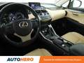 Lexus NX 300h 300h Business 2WD Auto Grau - thumbnail 11