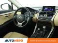 Lexus NX 300h 300h Business 2WD Auto Grau - thumbnail 13
